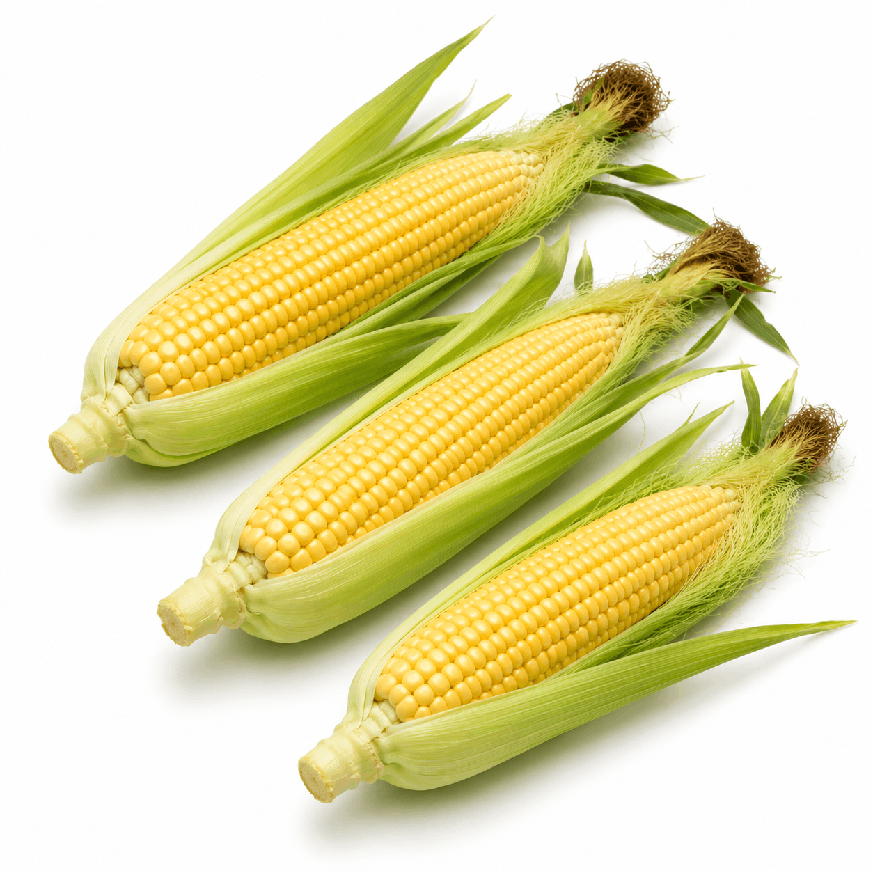 Corn